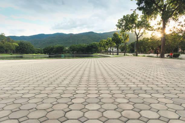 Best Driveway Paving Contractor  in Pocono Woodland Lakes, PA